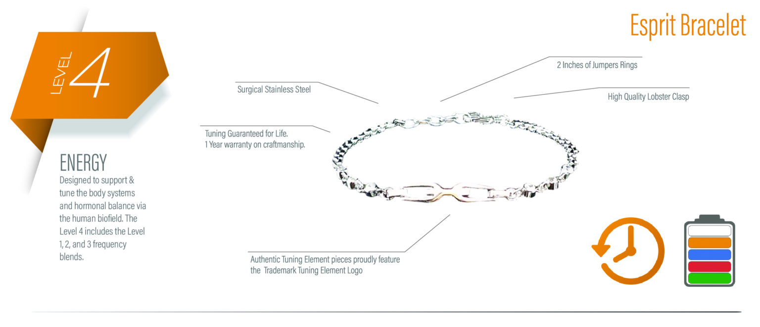 TE-Website-Levels-Esprit Level 4 Esprit Bracelet